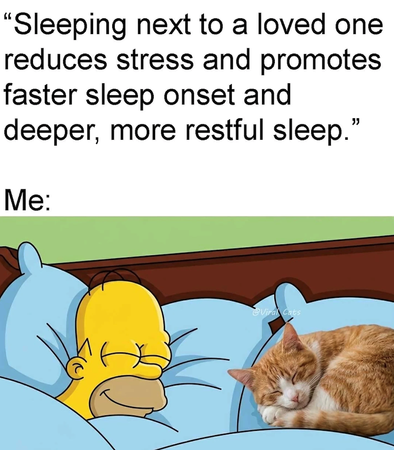 "Sleeping next to a loved one reduces stress and promotes faster sleep onset and deeper, more restful sleep." Me: @Viral Cats