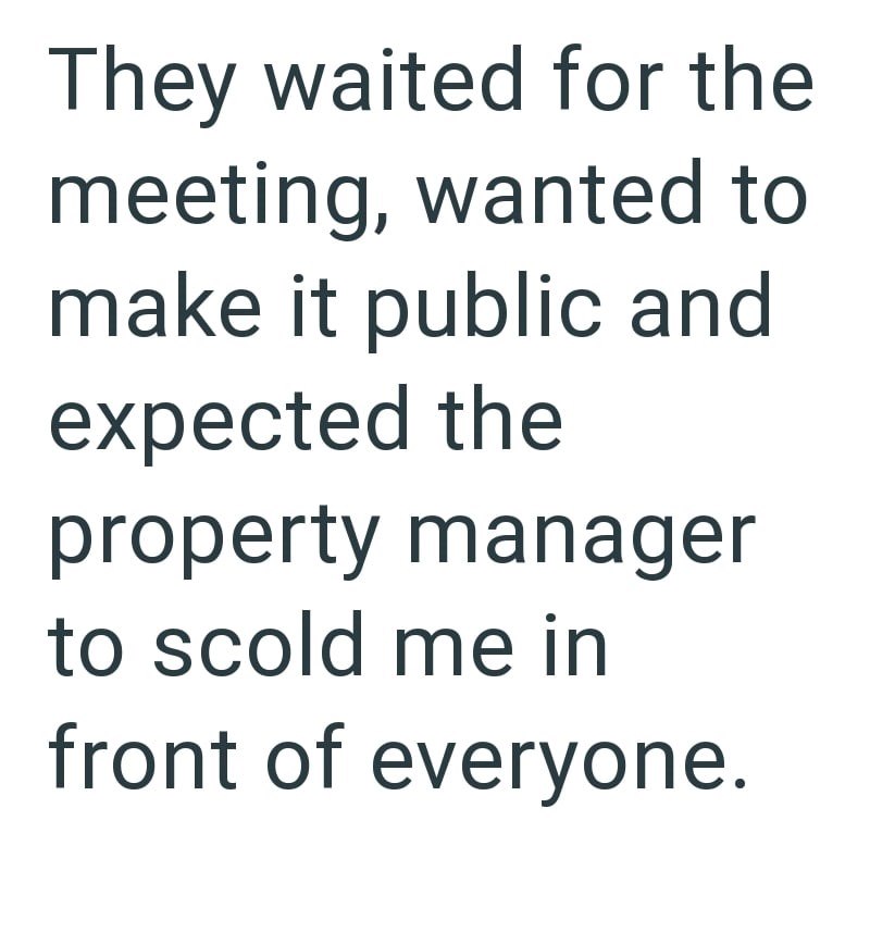 They waited for the meeting, wanted to make it public and expected the property manager to scold me in front of everyone.