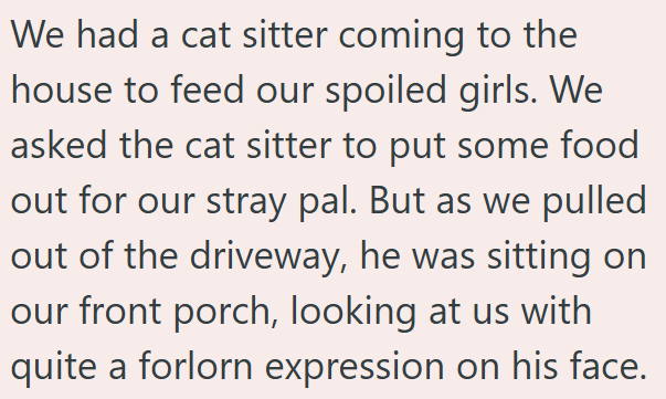 We had a cat sitter coming to the house to feed our spoiled girls. We asked the cat sitter to put some food out for our stray pal. But as we pulled out of the driveway, he was sitting on our front porch, looking at us with quite a forlorn expression on his face.