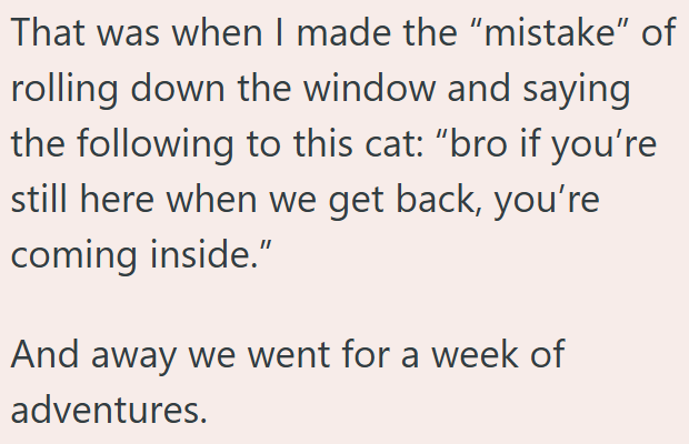 That was when I made the "mistake" of rolling down the window and saying the following to this cat: "bro if you're still here when we get back, you're coming inside." And away we went for a week of adventures.