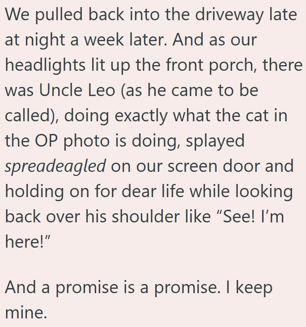 We pulled back into the driveway late at night a week later. And as our headlights lit up the front porch, there was Uncle Leo (as he came to be called), doing exactly what the cat in the OP photo is doing, splayed spreadeagled on our screen door and holding on for dear life while looking back over his shoulder like "See! I'm here!" And a promise is a promise. I keep mine.