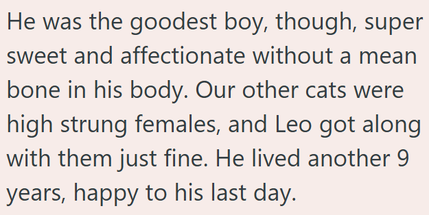 He was the goodest boy, though, super sweet and affectionate without a mean bone in his body. Our other cats were high strung females, and Leo got along with them just fine. He lived another 9 years, happy to his last day.