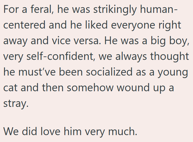 For a feral, he was strikingly human- centered and he liked everyone right away and vice versa. He was a big boy, very self-confident, we always thought he must've been socialized as a young cat and then somehow wound up a stray. We did love him very much.