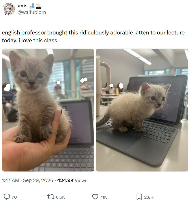 anis @waifubjorn english professor brought this ridiculously adorable kitten to our lecture today. i love this class 1:47 AM ⚫ Sep 29, 2026 424.9K Views . 70 16.6K 71K 2.8K -