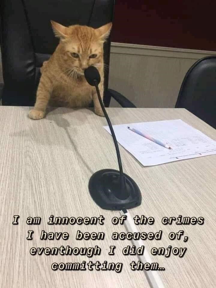 I am innocent of the crimes I have been accused of, eventhough I did enjoy committing them..