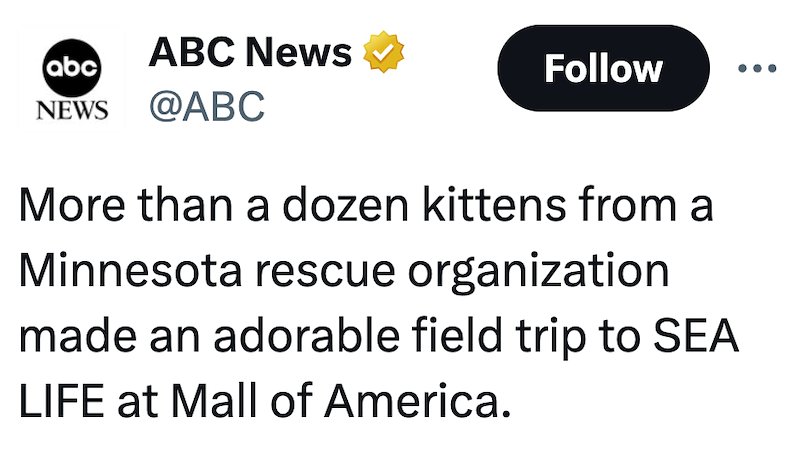 abc ABC News Follow NEWS @ABC More than a dozen kittens from a Minnesota rescue organization made an adorable field trip to SEA LIFE at Mall of America.
