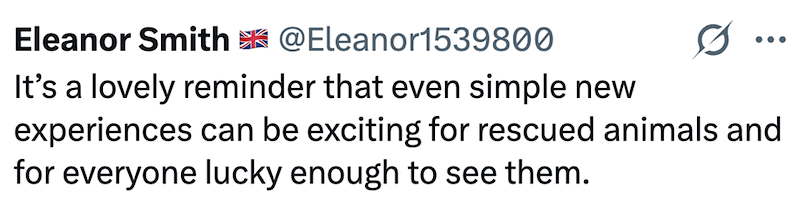 Eleanor Smith @Eleanor1539800 It's a lovely reminder that even simple new experiences can be exciting for rescued animals and for everyone lucky enough to see them.