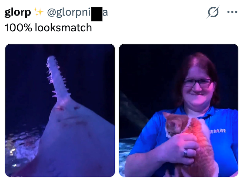 glorp @glorpnia 100% looksmatch SEALIFE