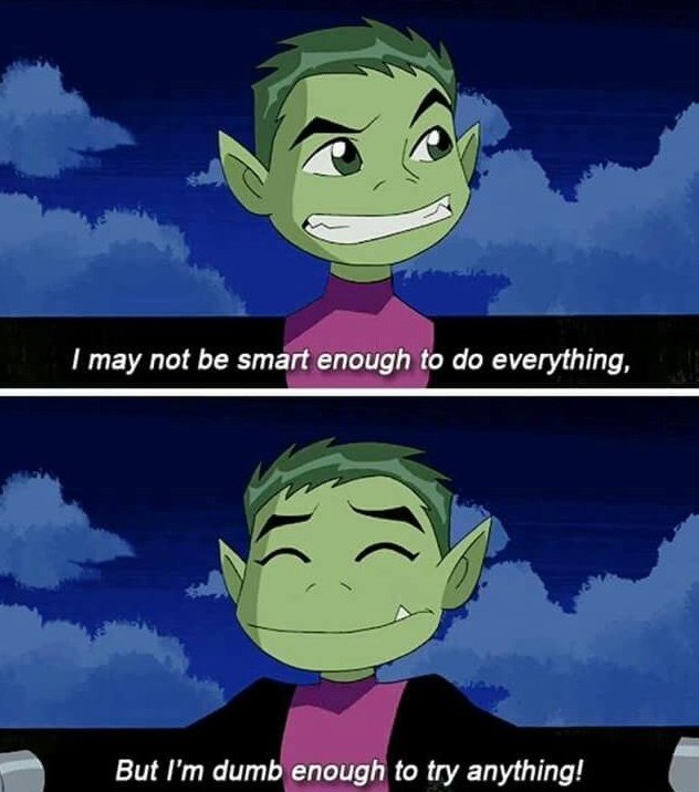 I may not be smart enough to do everything, But I'm dumb enough to try anything!