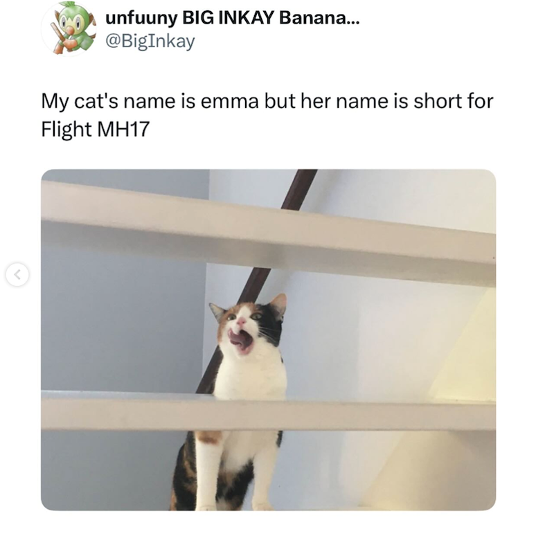 unfuuny BIG INKAY Banana... @BigInkay My cat's name is emma but her name is short for Flight MH17