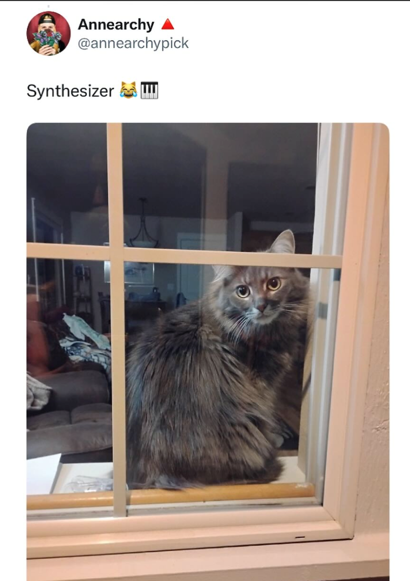 Annearchy @annearchypick Synthesizer