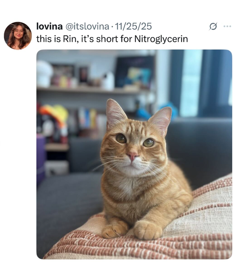 lovina @itslovina 11/25/25 this is Rin, it's short for Nitroglycerin MAIN