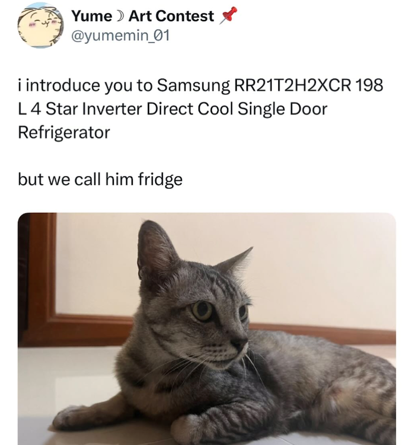 Yume > Art Contest ✓ @yumemin_01 i introduce you to Samsung RR21T2H2XCR 198 L4 Star Inverter Direct Cool Single Door Refrigerator but we call him fridge