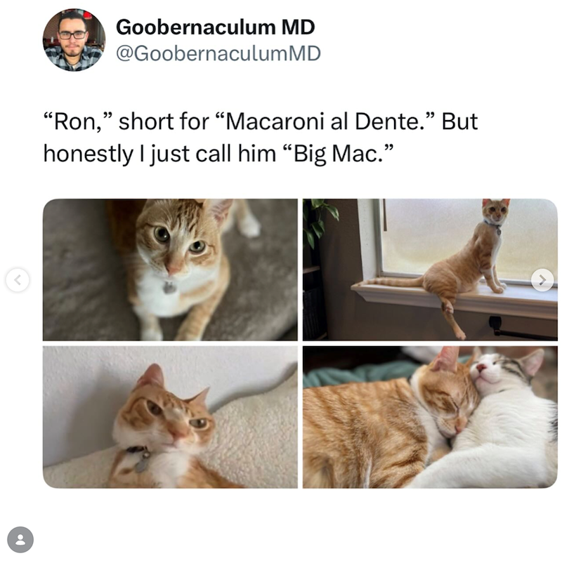 Goobernaculum MD @GoobernaculumMD "Ron," short for "Macaroni al Dente." But honestly I just call him "Big Mac."