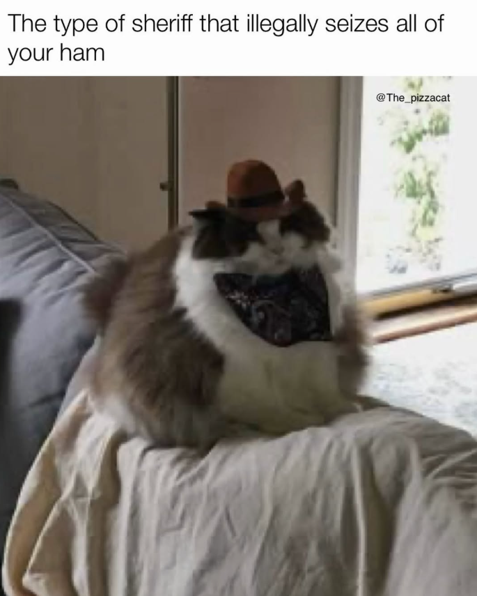 The type of sheriff that illegally seizes all of your ham @The_pizzacat