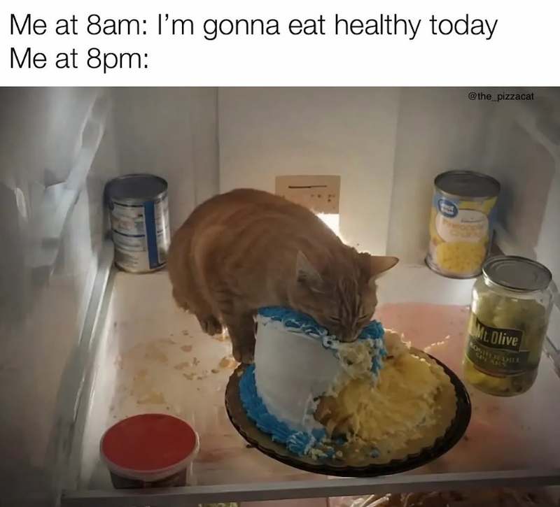 Me at 8am: I'm gonna eat healthy today. Me at 8pm: @the_pizzacat Mt. Olive KOSHER DILE SPARS