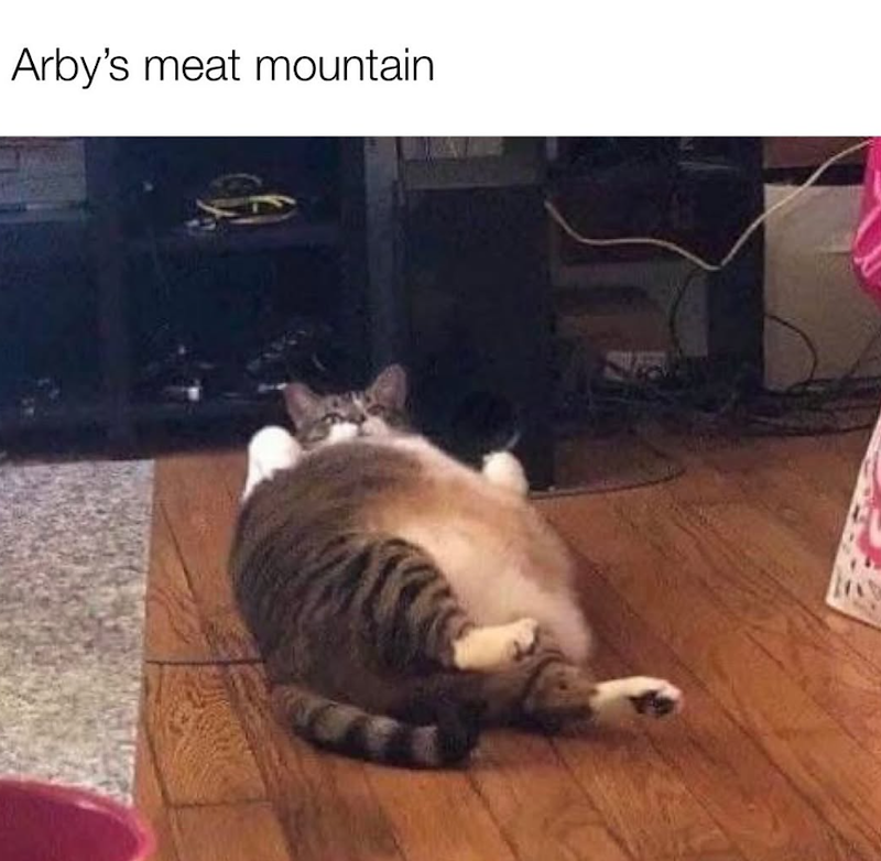 Arby's meat mountain