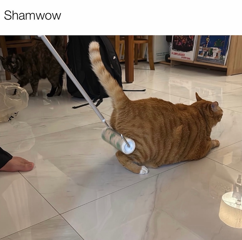 Shamwow UNPLUGGED REFIEL 5002