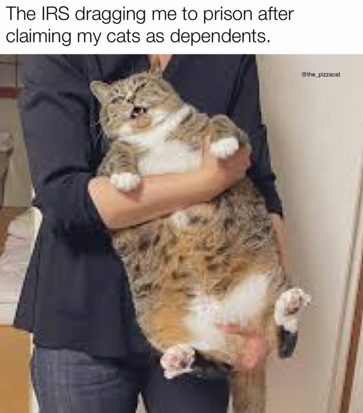 The IRS dragging me to prison after claiming my cats as dependents. @the_pizzacat