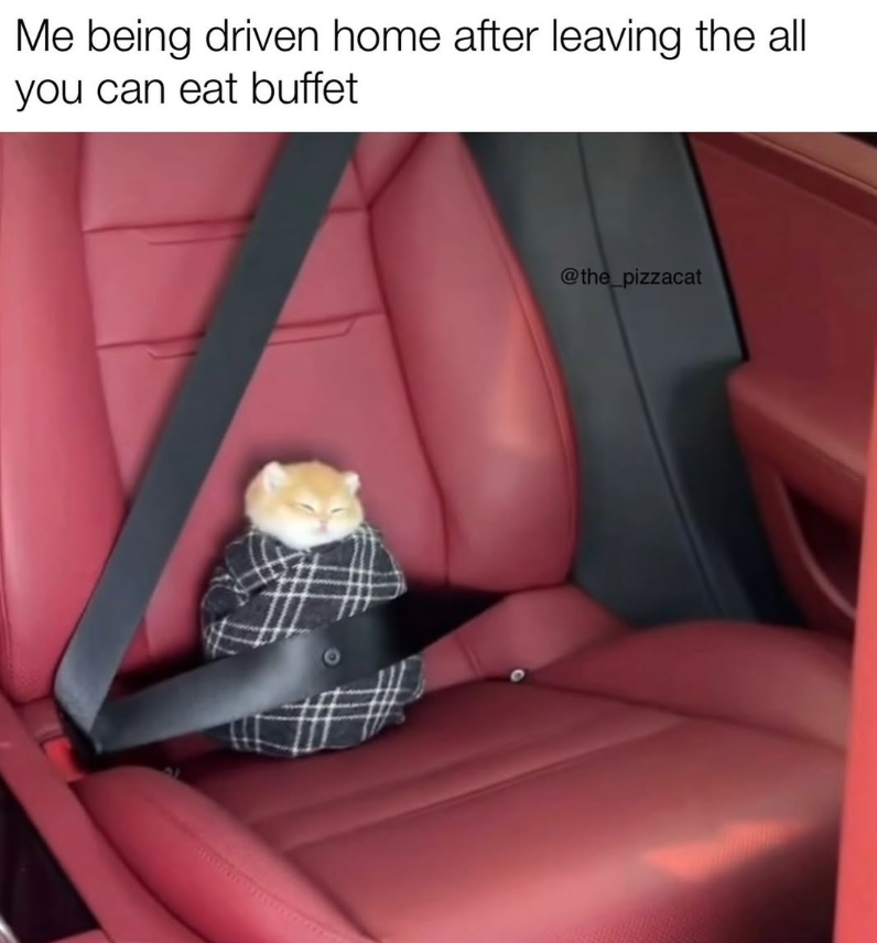 Me being driven home after leaving the all you can eat buffet @the_pizzacat