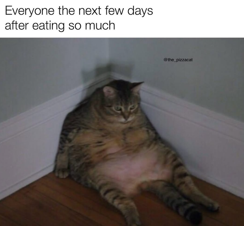 Everyone the next few days after eating so much @the_pizzacat