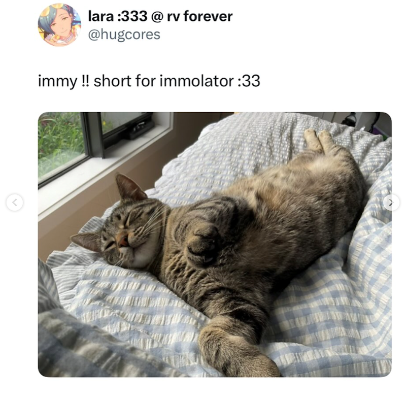 lara :333 @ rv forever @hugcores immy!! short for immolator :33