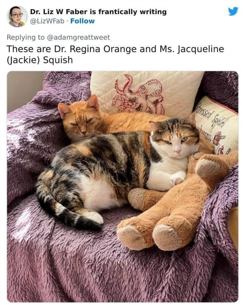 Dr. Liz W Faber is frantically writing @LizWFab Follow Replying to @adamgreattweet These are Dr. Regina Orange and Ms. Jacqueline (Jackie) Squish Stressed Spele
