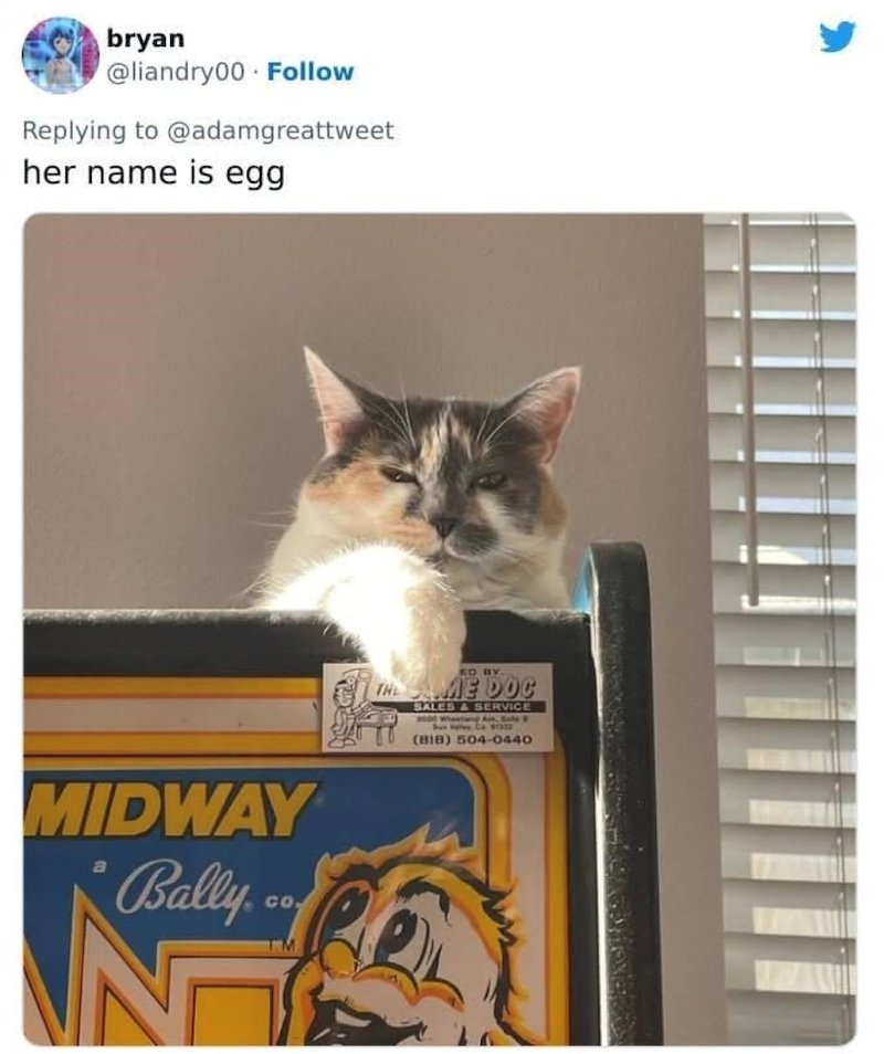 bryan @liandry00 Follow Replying to @adamgreattweet her name is egg MIDWAY Bally CO ED BY THE ME DOC SALES & SERVICE 8000 Wheeland Art, Sule Ca (818) 504-0440