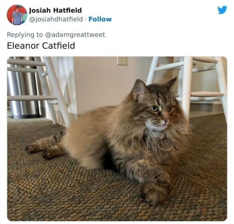 Josiah Hatfield @josiahdhatfield Follow Replying to @adamgreattweet Eleanor Catfield