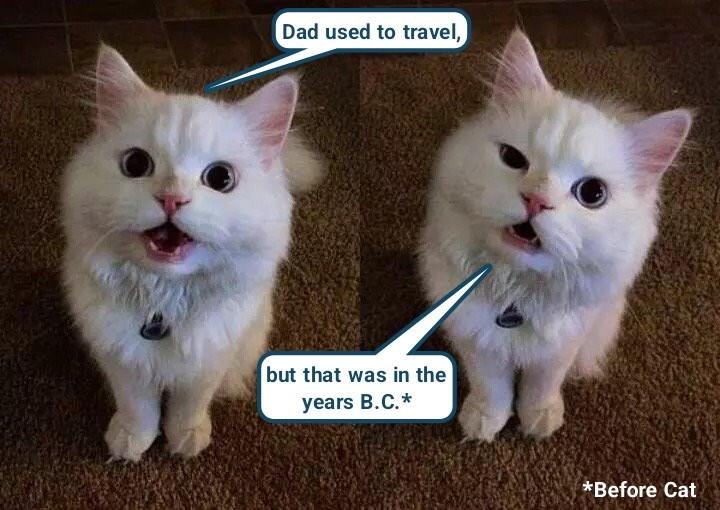 Dad used to travel, but that was in the years B.C.* *Before Cat