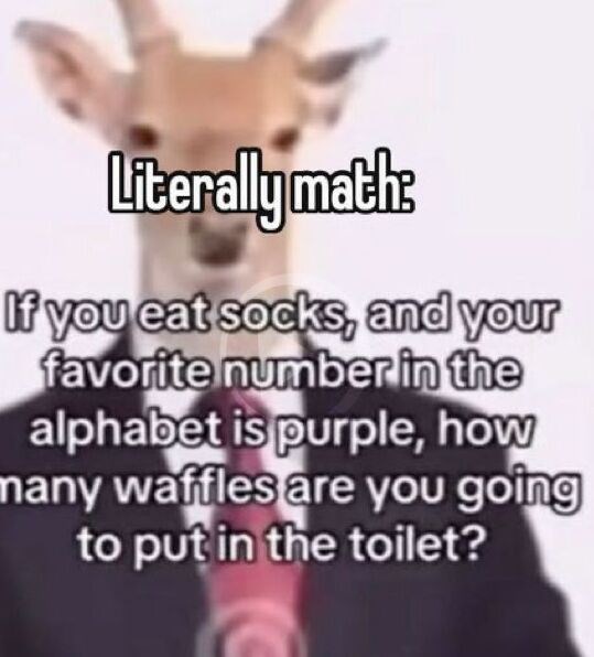 Literallymath: If you eat socks, and your favorite number in the alphabet is purple, how many waffles are you going to put in the toilet?
