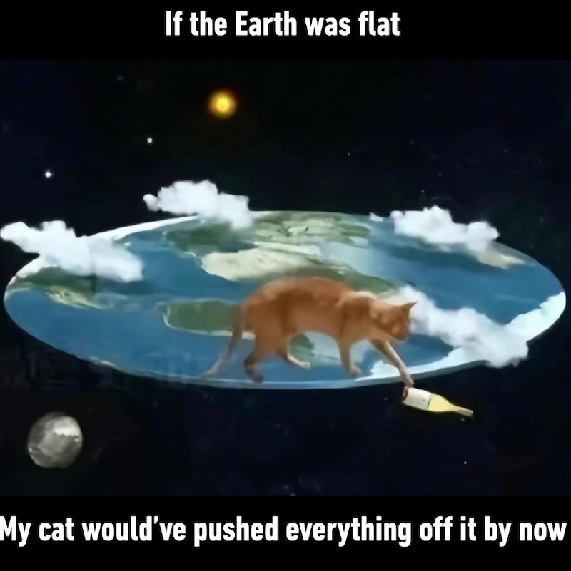 If the Earth was flat My cat would've pushed everything off it by now