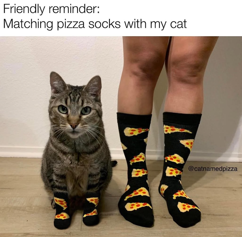 Friendly reminder: Matching pizza socks with my cat 6 @catnamedpizza
