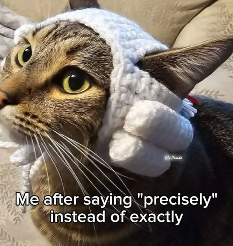 Blu Panda Me after saying "precisely" instead of exactly