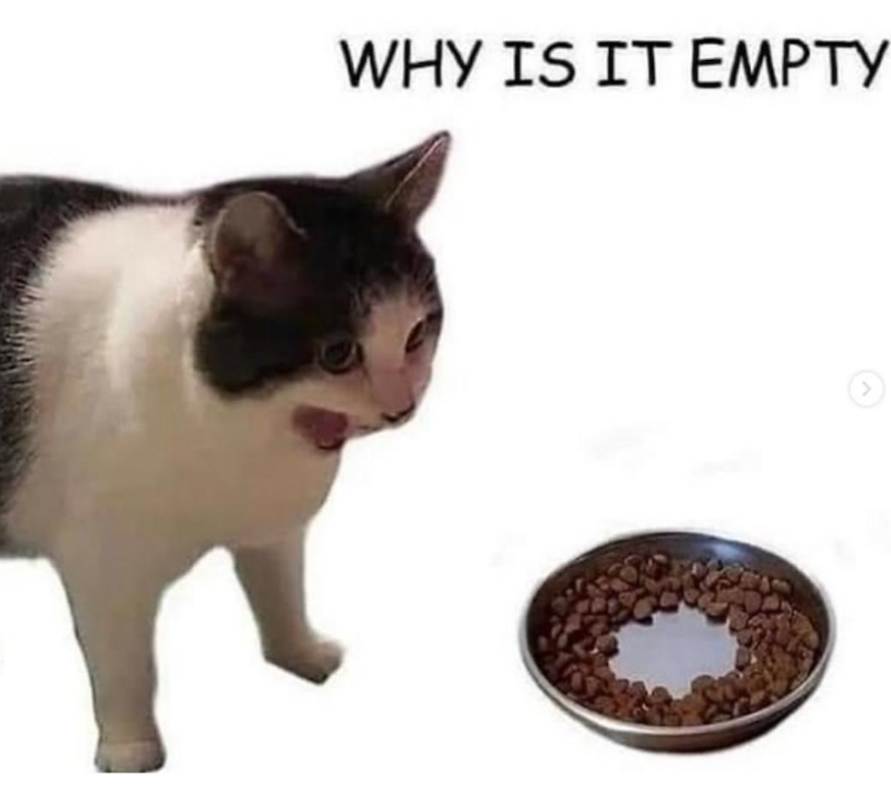 WHY IS IT EMPTY >