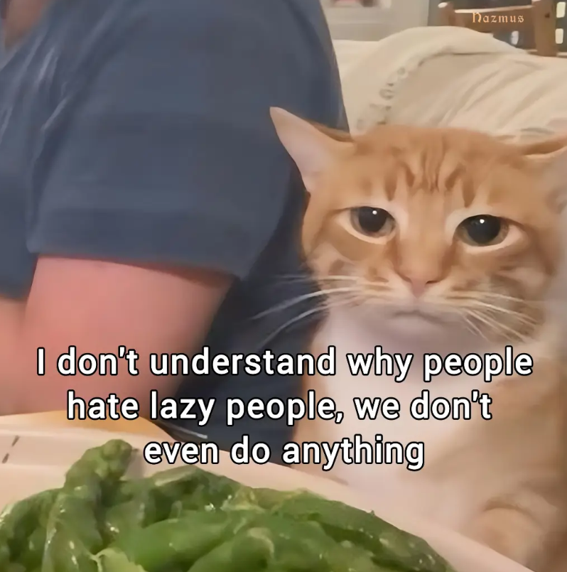 Nazmus I don't understand why people hate lazy people, we don't even do anything
