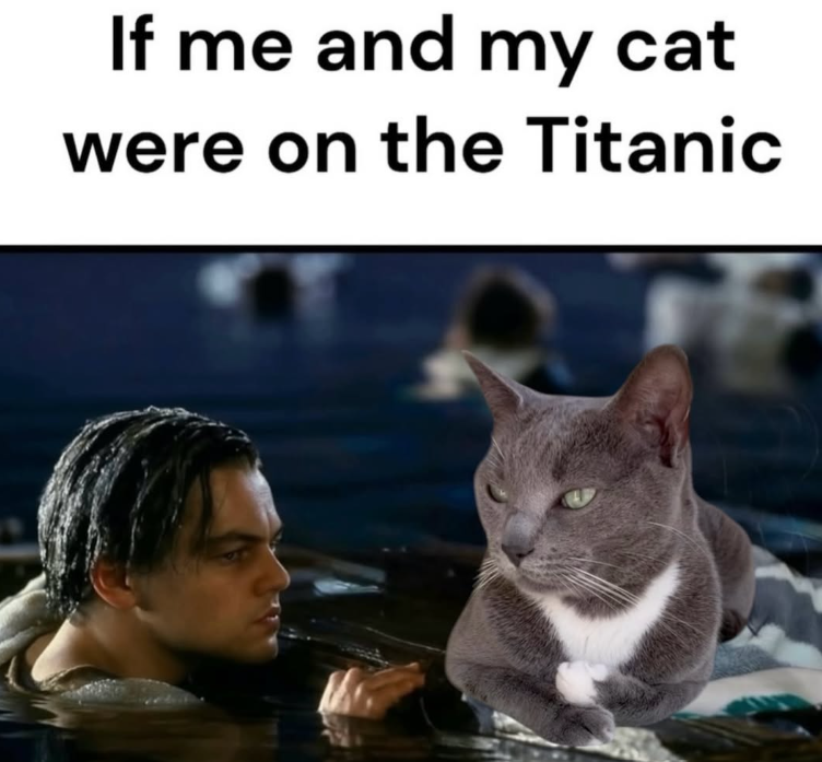 If me and my cat were on the Titanic