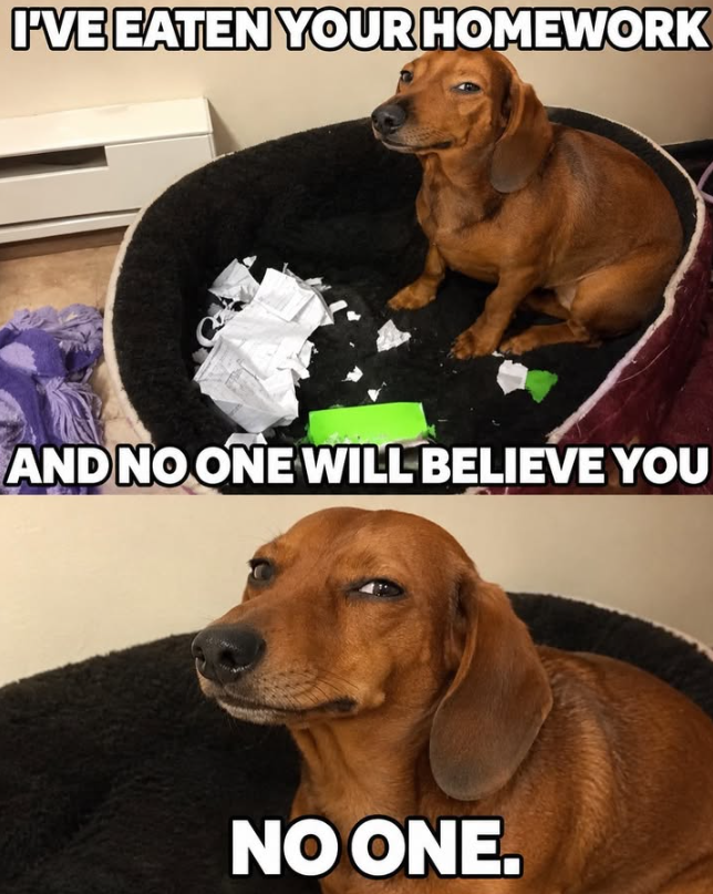 I'VE EATEN YOUR HOMEWORK AND NO ONE WILL BELIEVE YOU NO ONE.