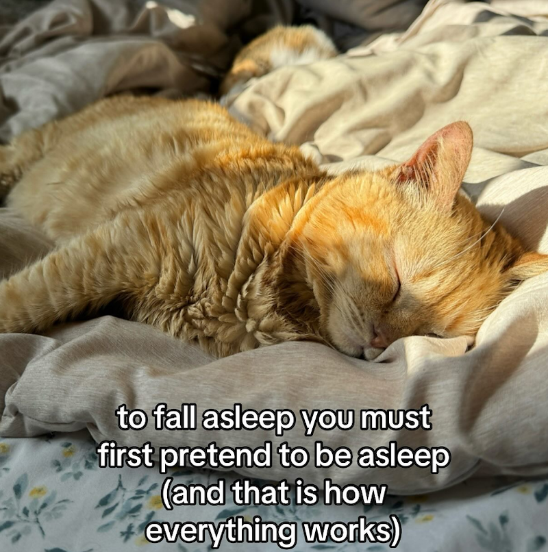 to fall asleep you must first pretend to be asleep (and that is how everything works)