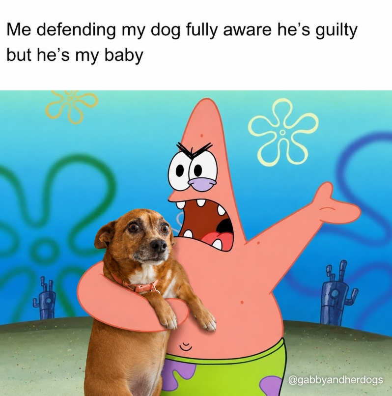 Me defending my dog fully aware he's guilty but he's my baby @gabbyandherdogs