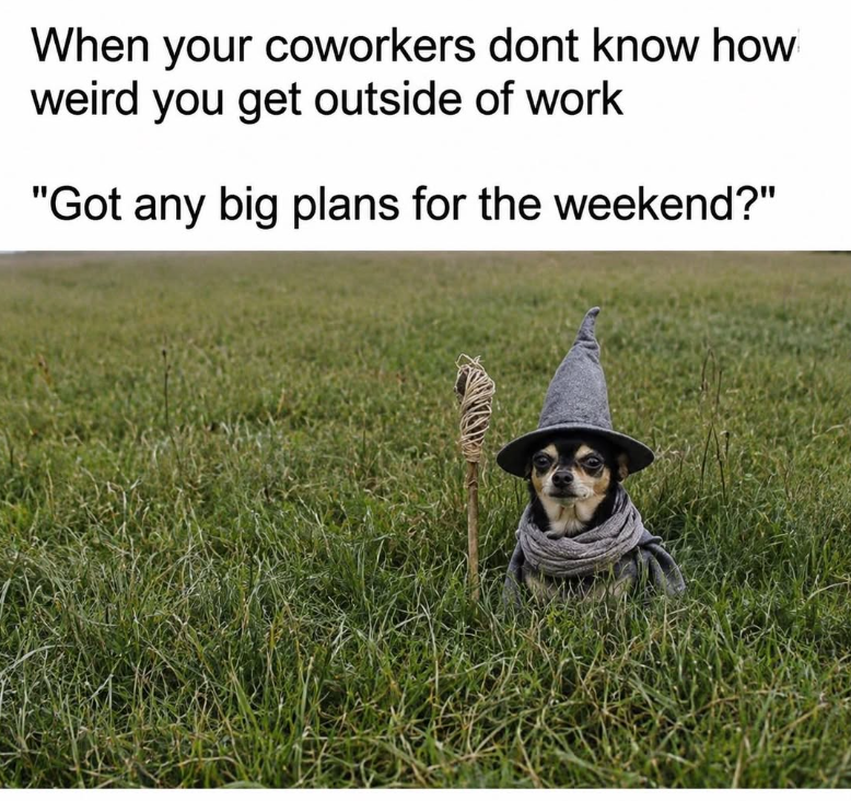 When your coworkers dont know how weird you get outside of work "Got any big plans for the weekend?"