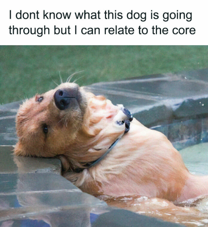 I dont know what this dog is going through but I can relate to the core