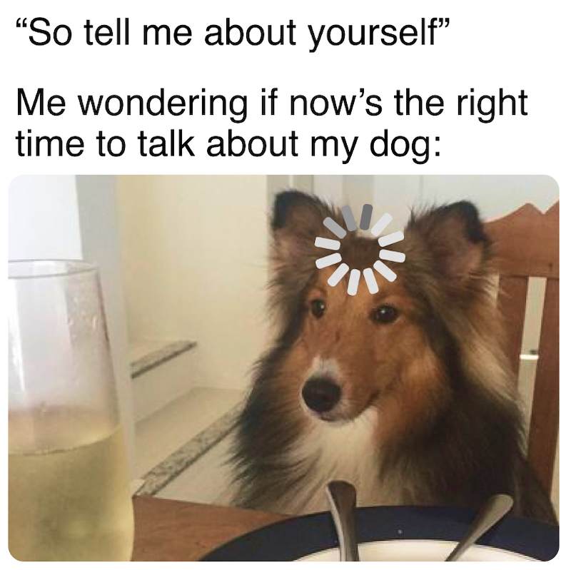 "So tell me about yourself" Me wondering if now's the right time to talk about my dog: