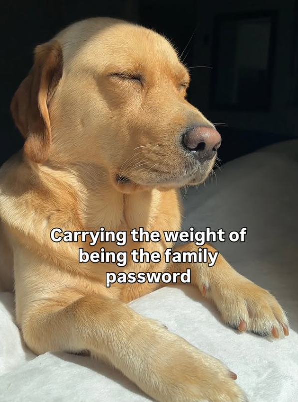Carrying the weight of being the family password