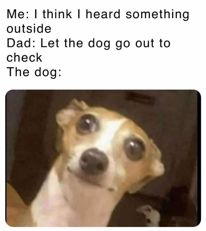 Me: I think I heard something outside Dad: Let the dog go out to check The dog: