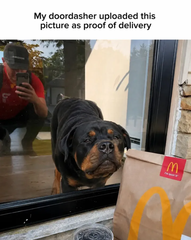AIRDOUAR My doordasher uploaded this picture as proof of delivery M I'm lovin' it'