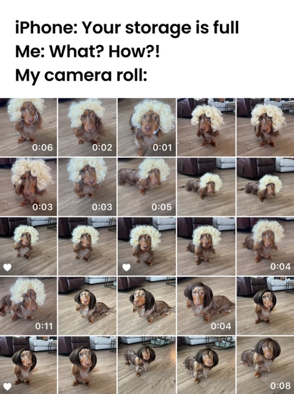 iPhone: Your storage is full Me: What? How?! My camera roll: 0:06 0:02 0:01 0:03 0:03 0:05 0:11 0:04 0:04 0:08