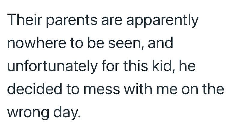 Their parents are apparently nowhere to be seen, and unfortunately for this kid, he decided to mess with me on the wrong day.