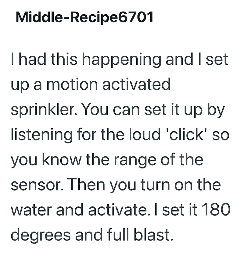Middle-Recipe6701 I had this happening and I set up a motion activated sprinkler. You can set it up by listening for the loud 'click' so you know the range of the sensor. Then you turn on the water and activate. I set it 180 degrees and full blast.