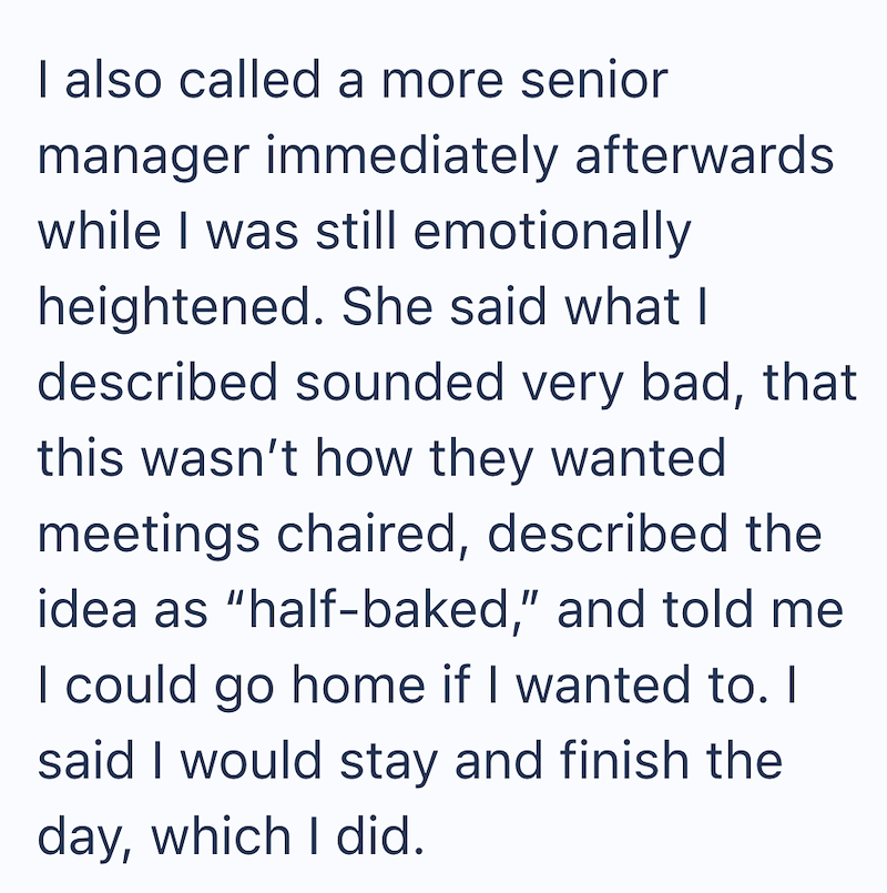 I also called a more senior manager immediately afterwards while I was still emotionally heightened. She said what I described sounded very bad, that this wasn't how they wanted meetings chaired, described the idea as "half-baked," and told me I could go home if I wanted to. I said I would stay and finish the day, which I did.